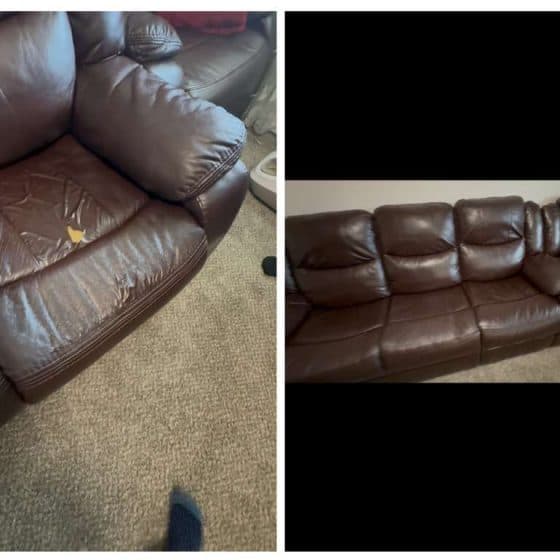Repair Options for Pet-Damaged Leather & Vinyl Furniture — repair guide and project information